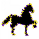(c) Paardenrace.net